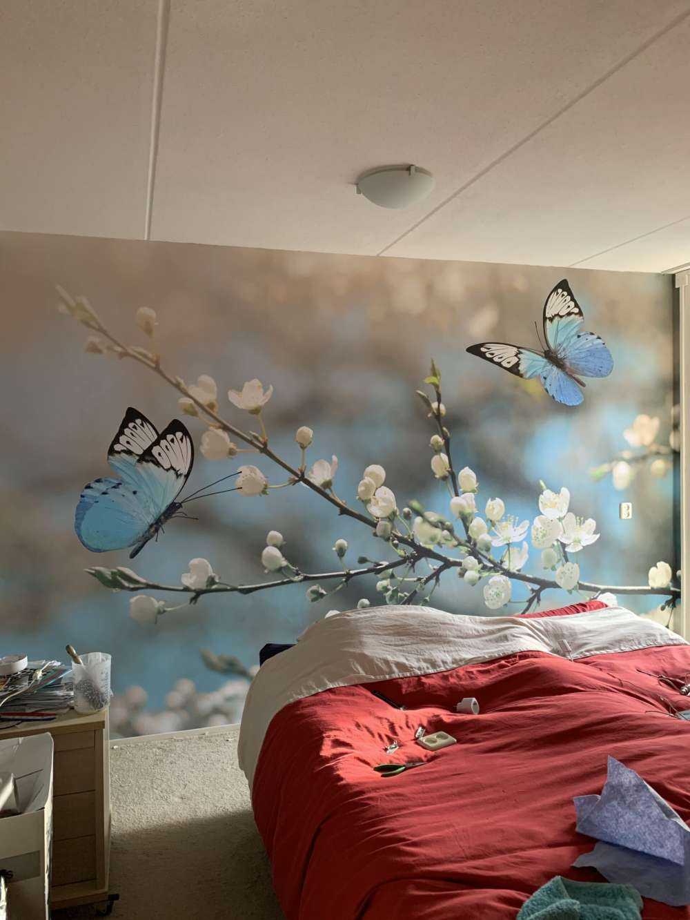 Les papillons bleus
