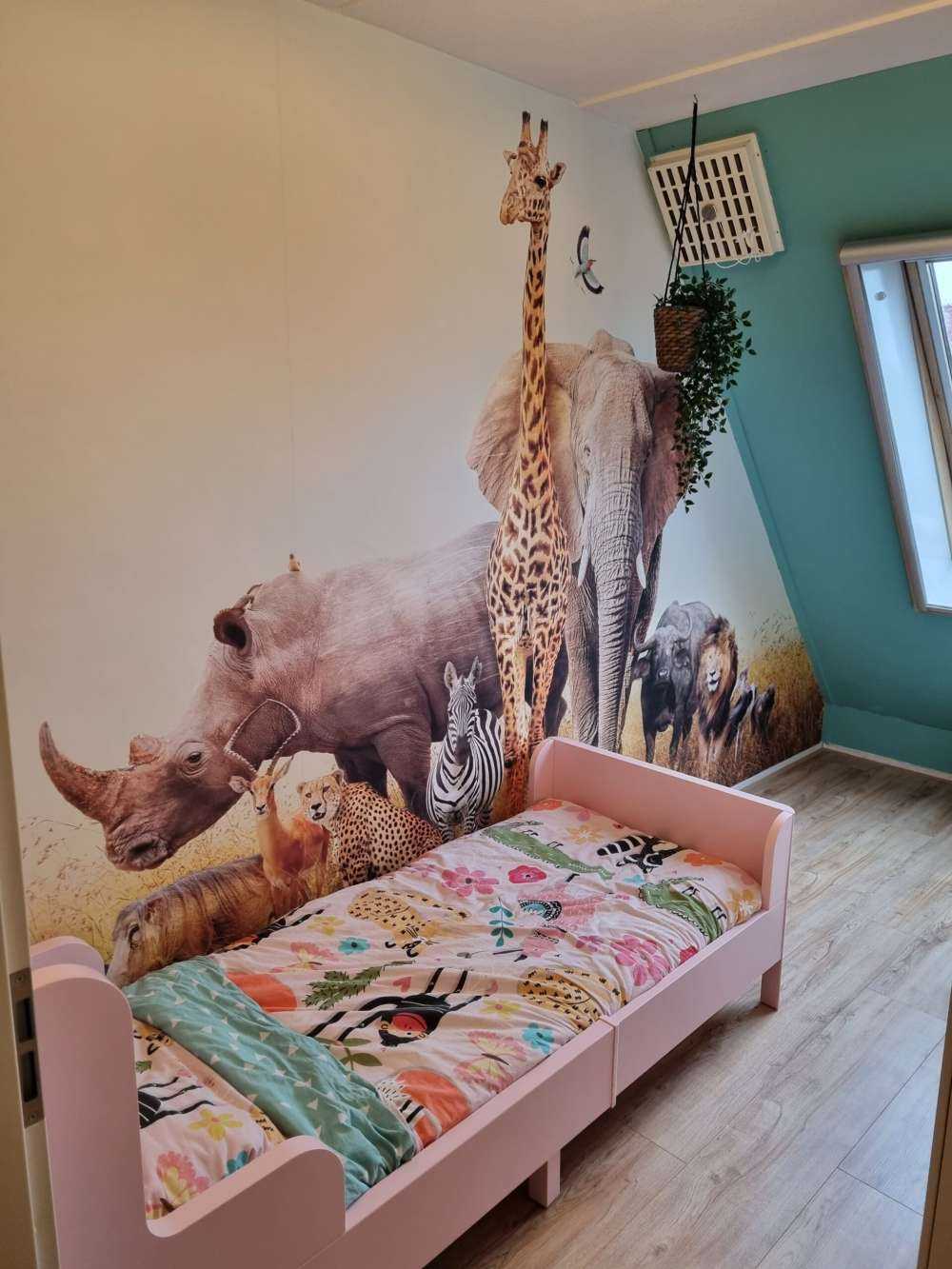 Animaux de la savane