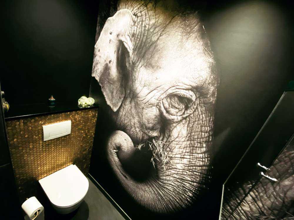 Portrait d'éléphant