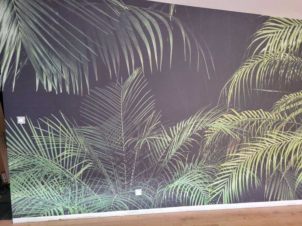 Plante à feuilles vertes
