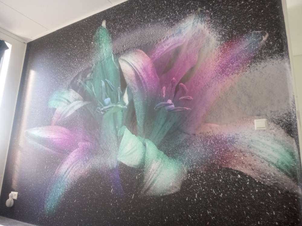 Fleurs néon