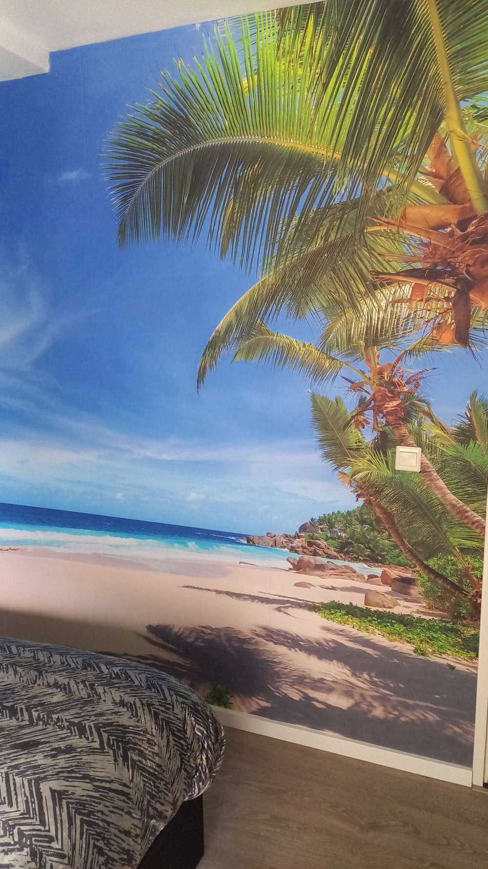Plage tropicale avec palmier