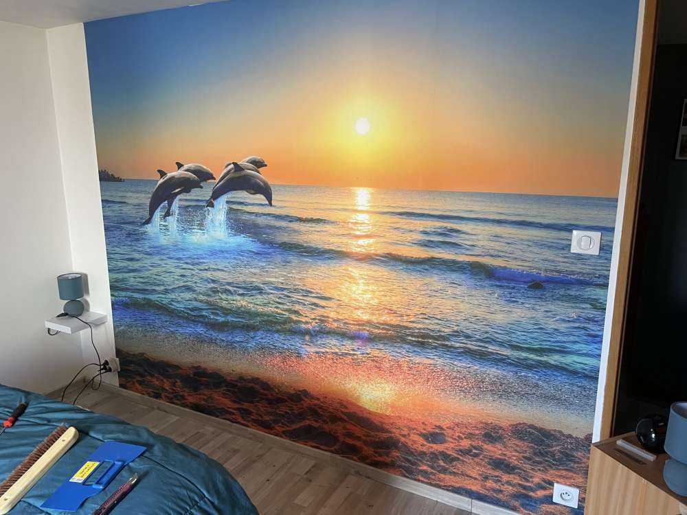 Bande de dauphins