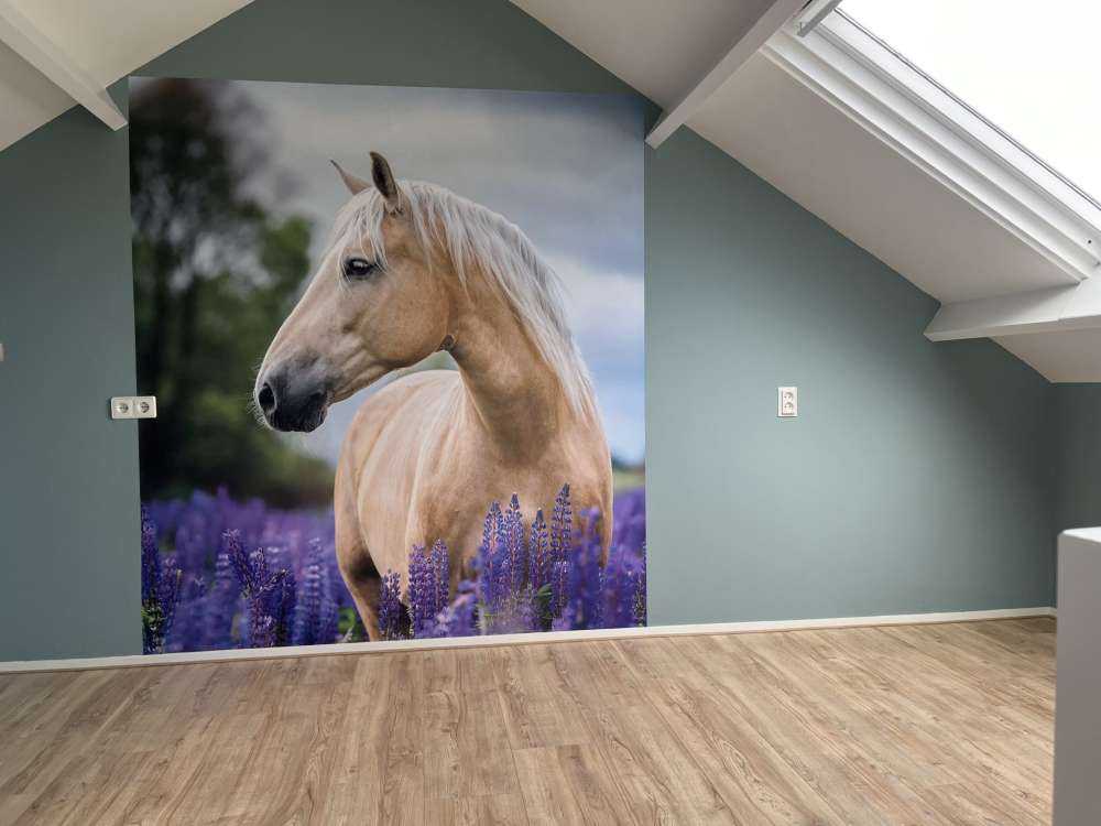 Cheval parmi les fleurs de papillon