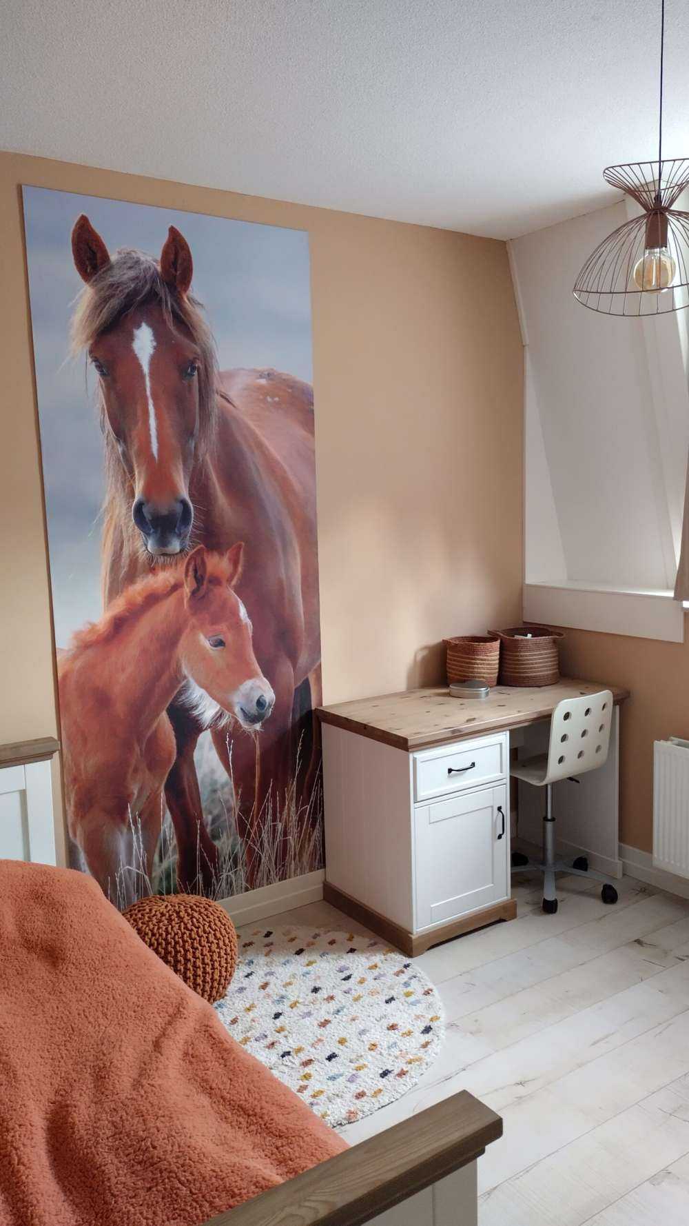 Chevaux sauvages
