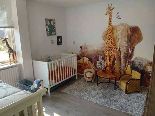 Animaux de la savane