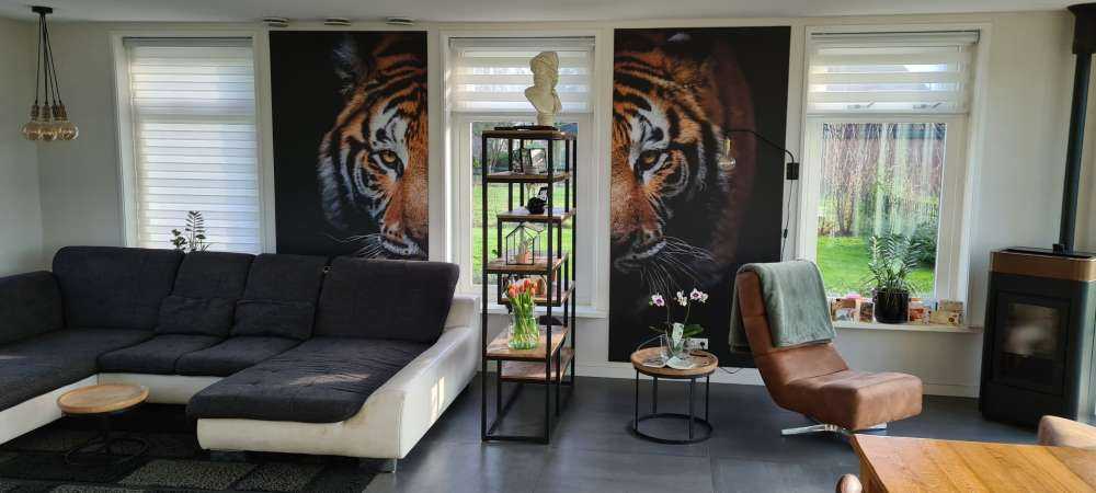 Panorama des tigres