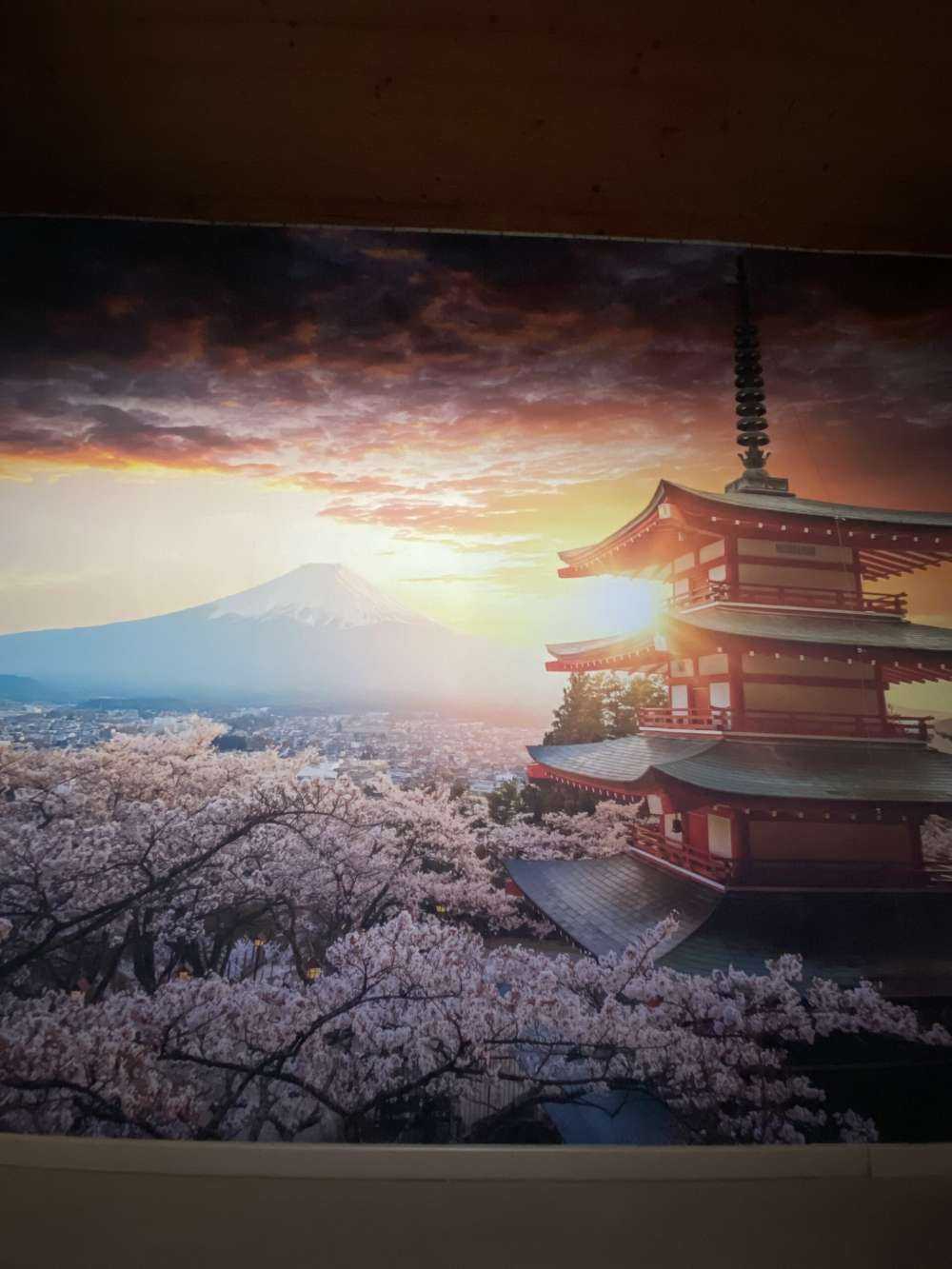 Château d'Osaka