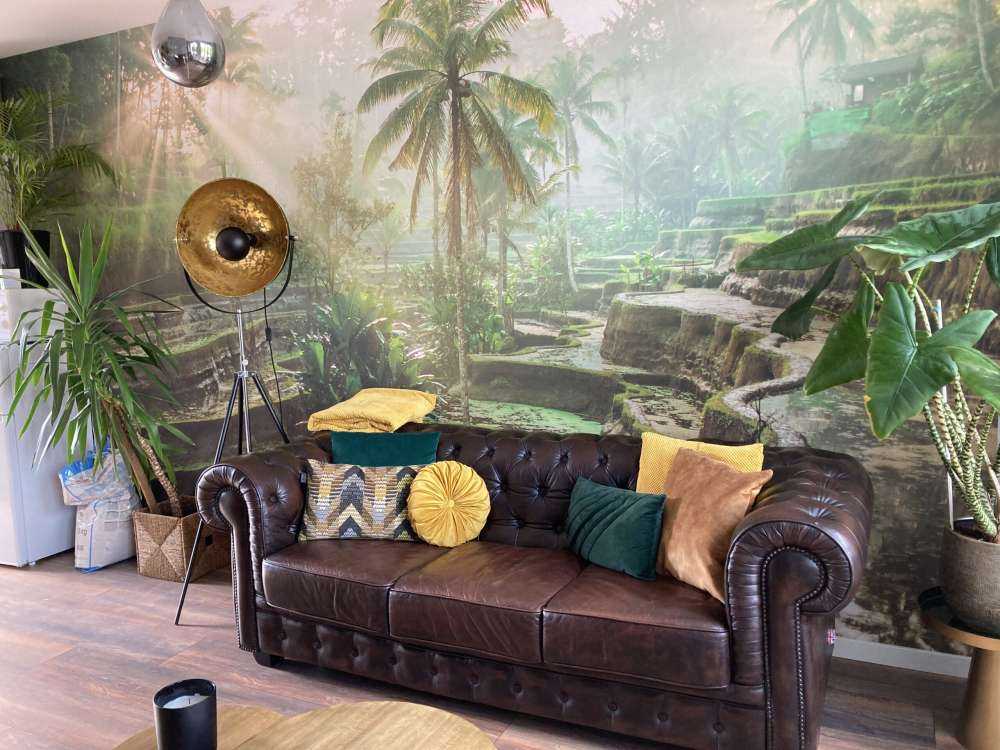 Des rizières dans la jungle