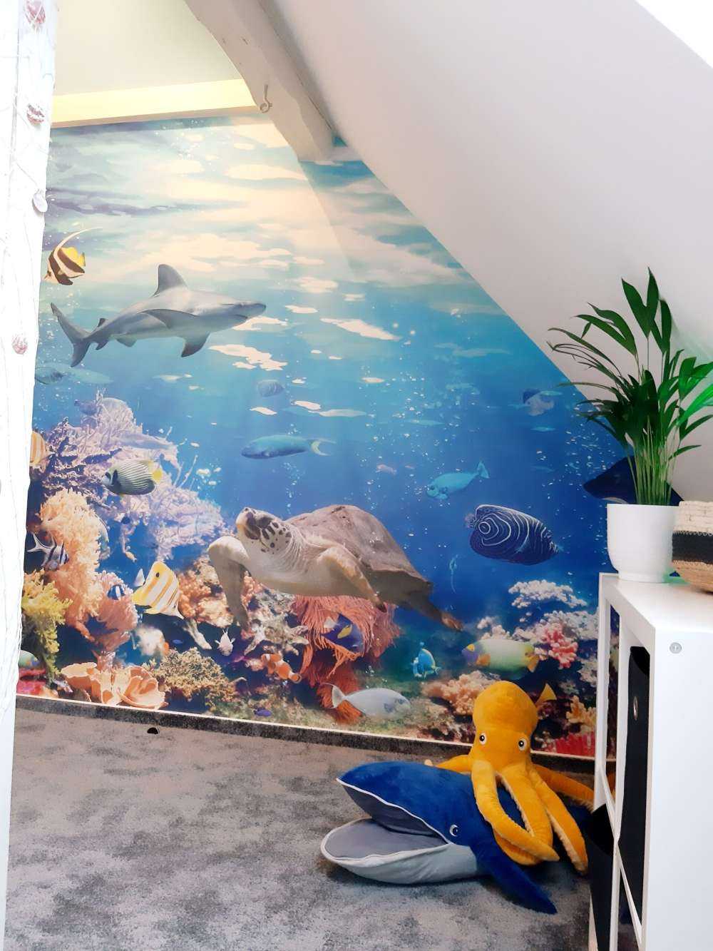 Poissons exotiques