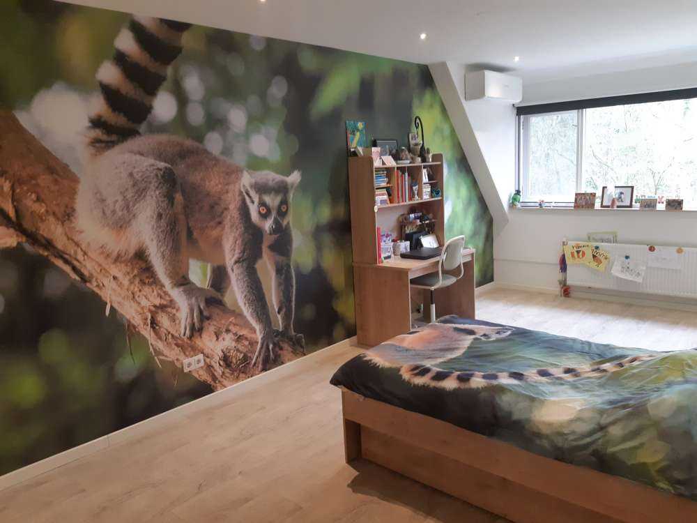 Lémurien dans un arbre