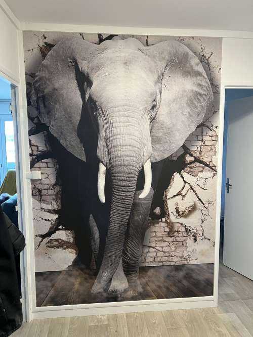 L'éléphant en 3D depuis le mur