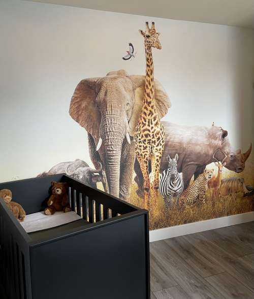 Animaux de la savane