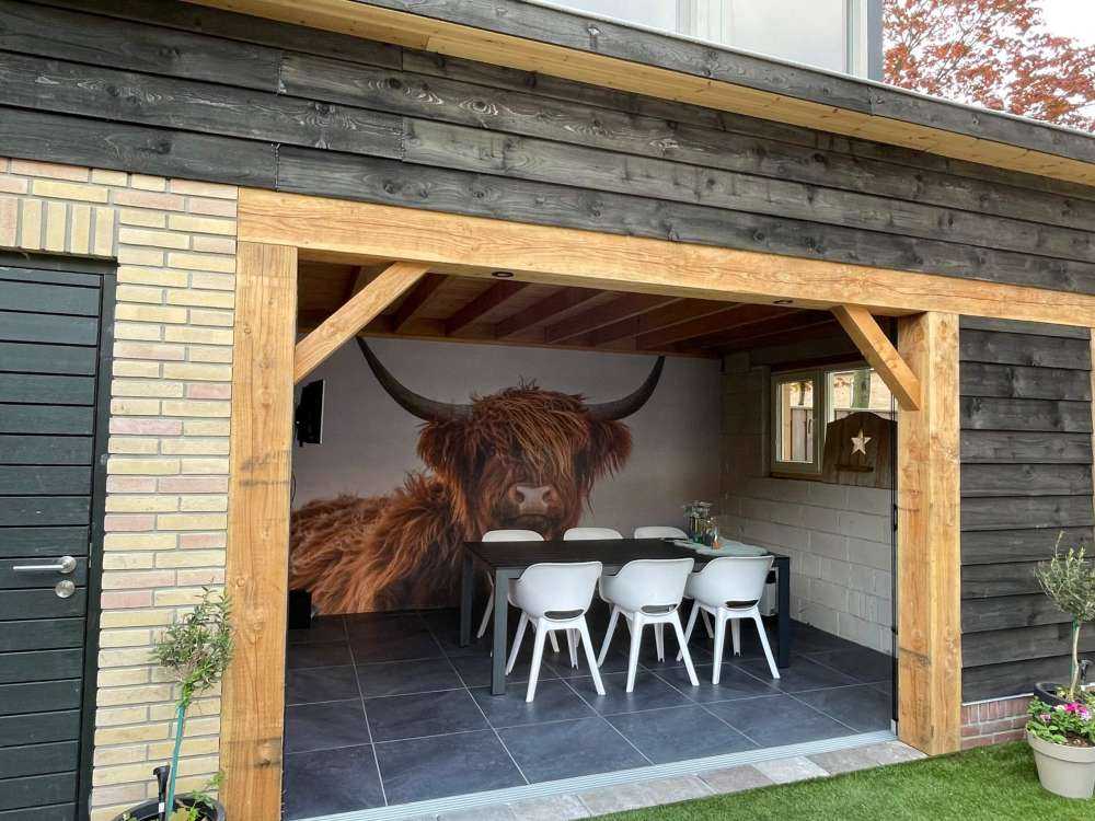 Le Highland écossais en vedette