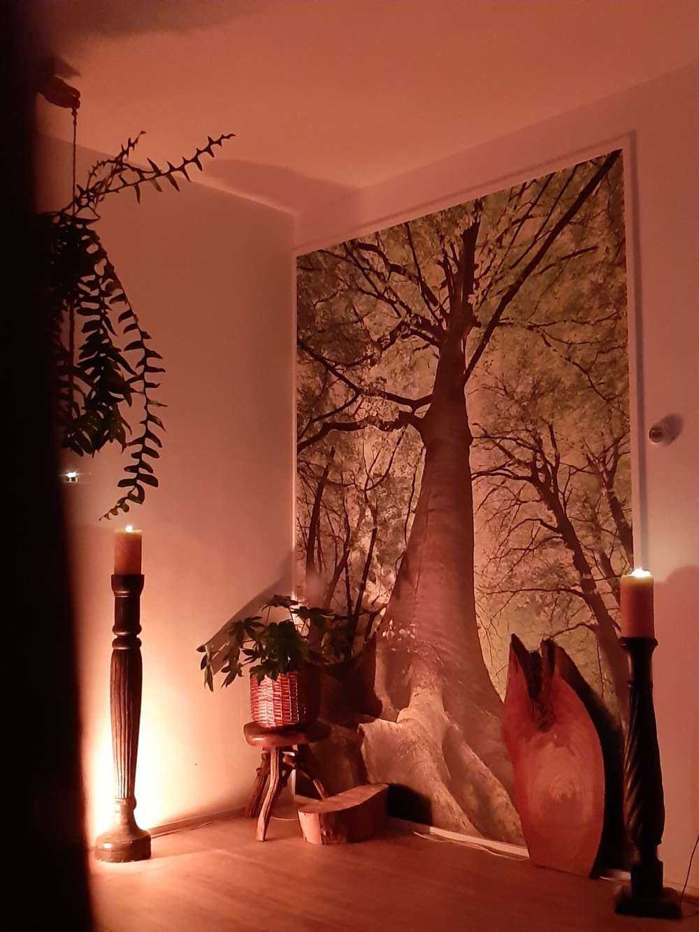 Grand arbre et racines