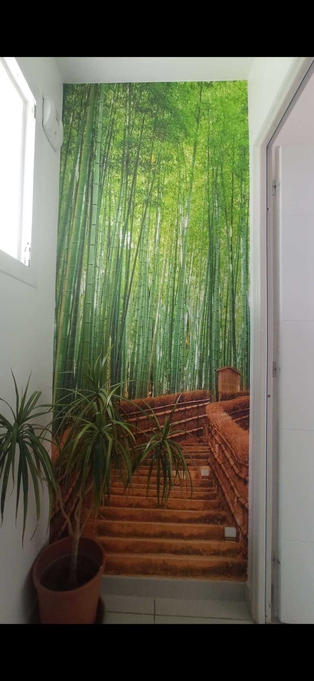 Escalier entre les plantes de bambou