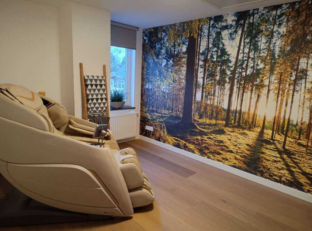 Forêt de pins