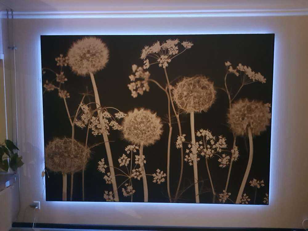 Fantaisie des prés
