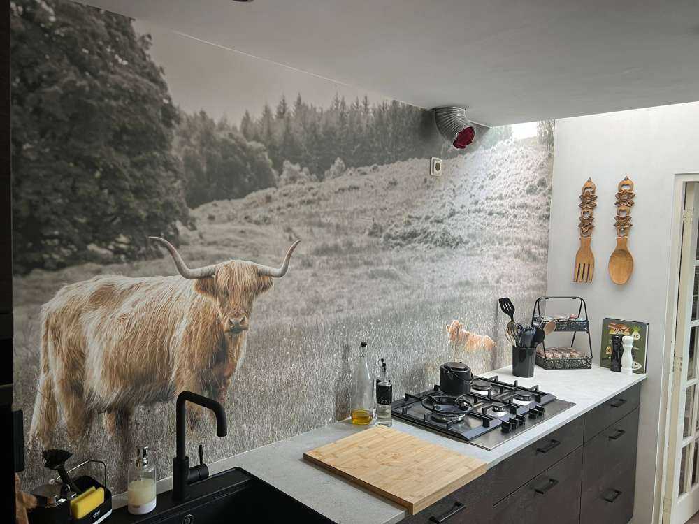 Highlander écossais avec veau