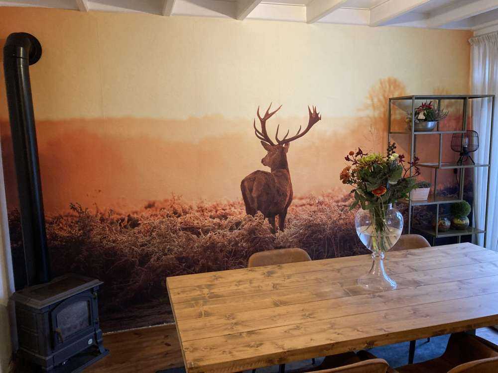 Cerf au lever du soleil