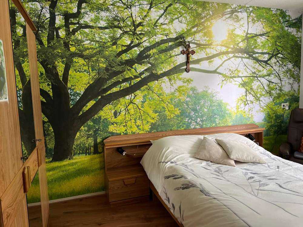 Bel arbre avec de l'herbe verte