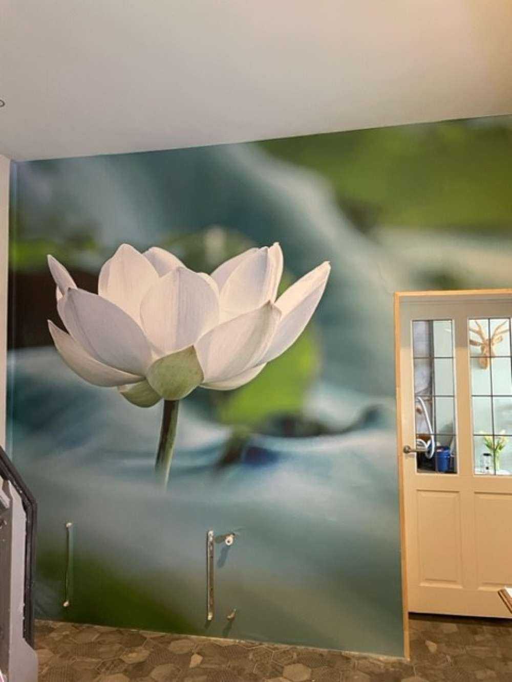 Fleur de lotus blanc