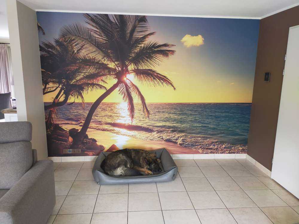 Plage tropicale