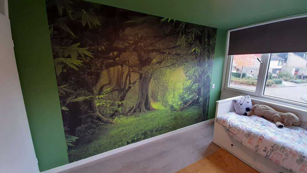 Jungle tropicale