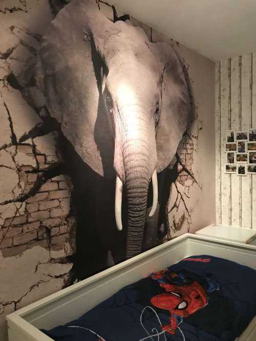 L'éléphant en 3D depuis le mur