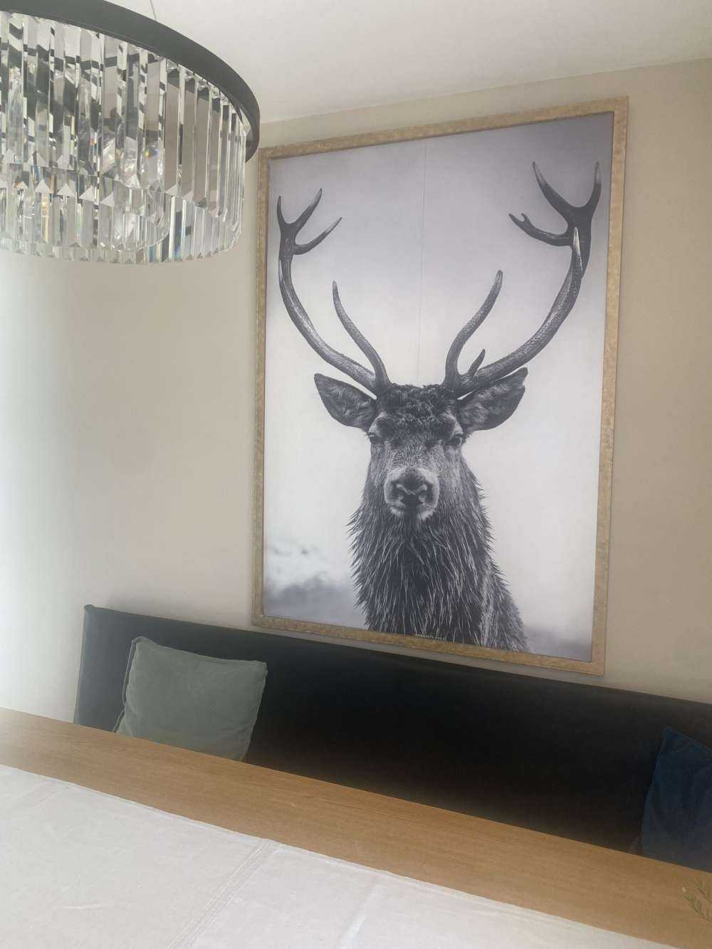 Gros cerf