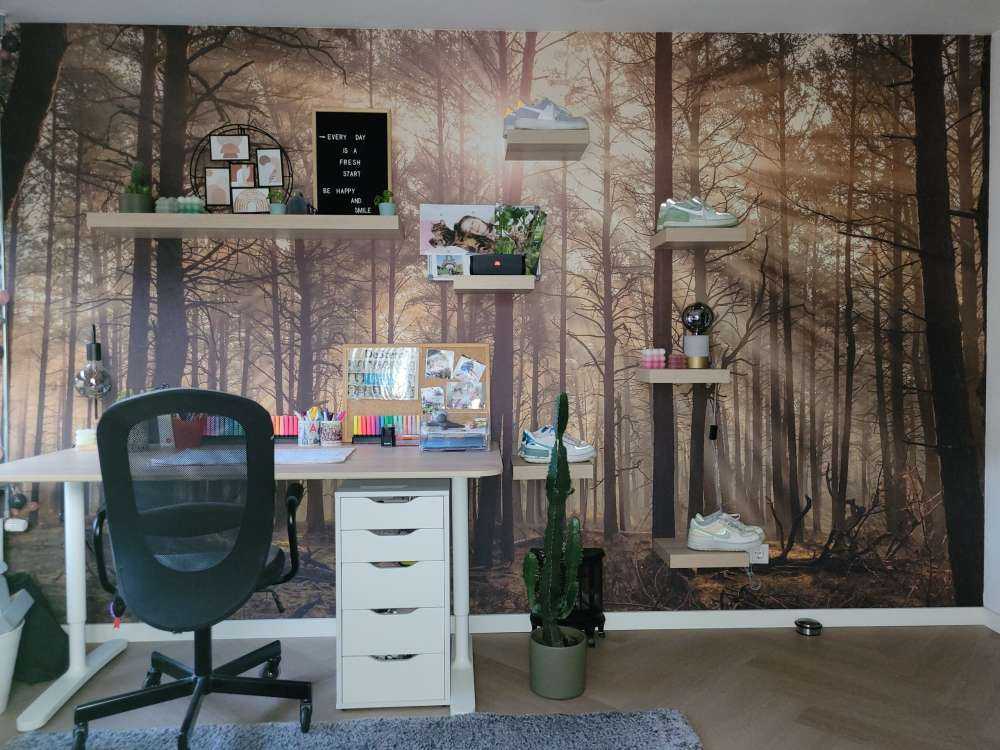 Forêt avec de grands arbres