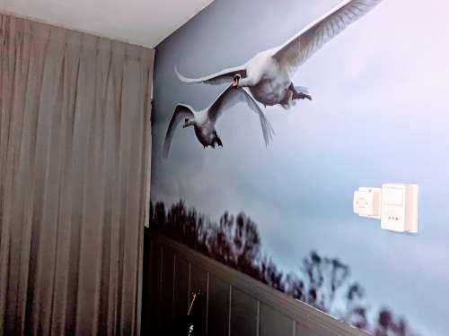 Cygne volant