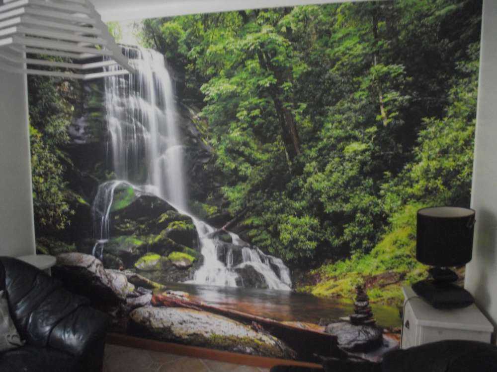 Chute d'eau de la jungle