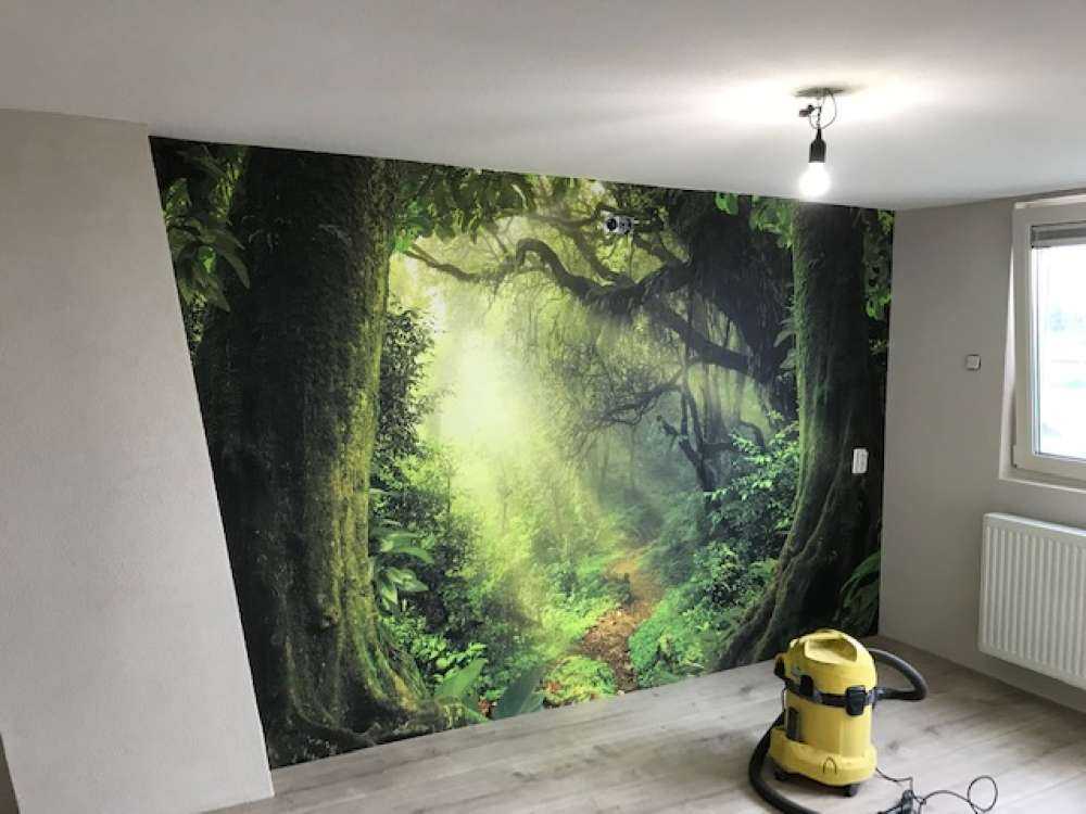 Jungle avec des rayons de soleil