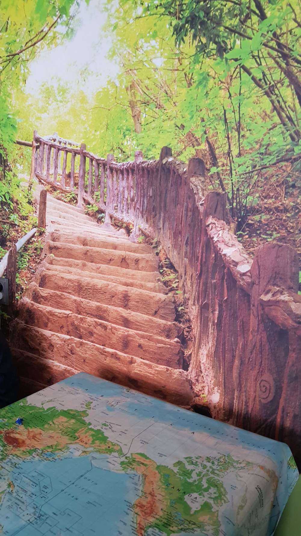 Escalier en forêt