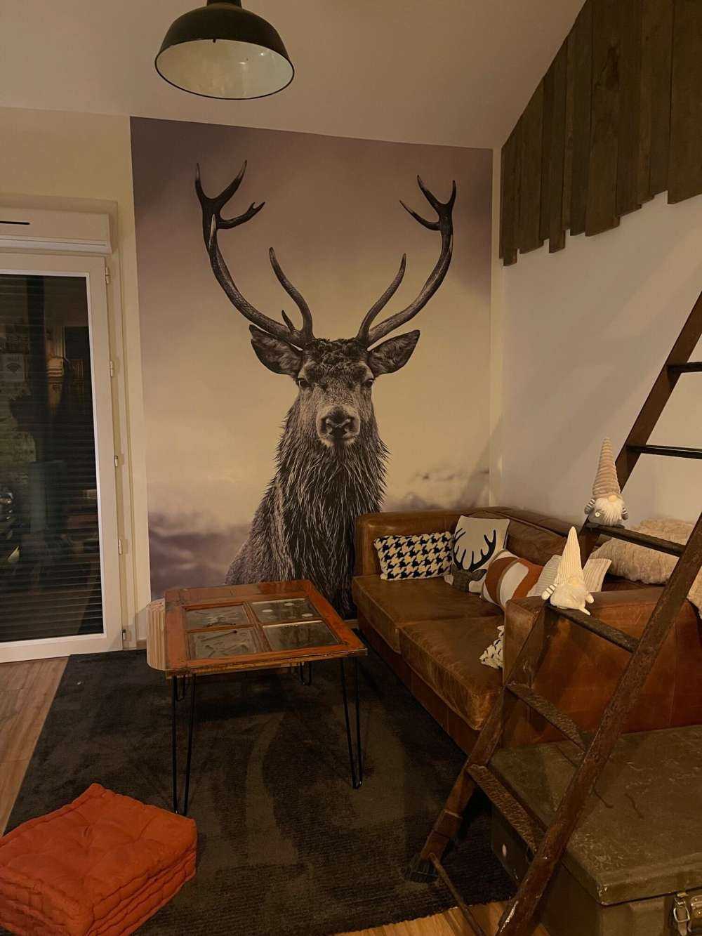 Gros cerf