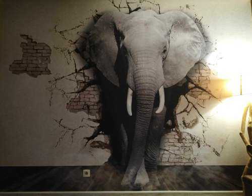 L'éléphant en 3D depuis le mur