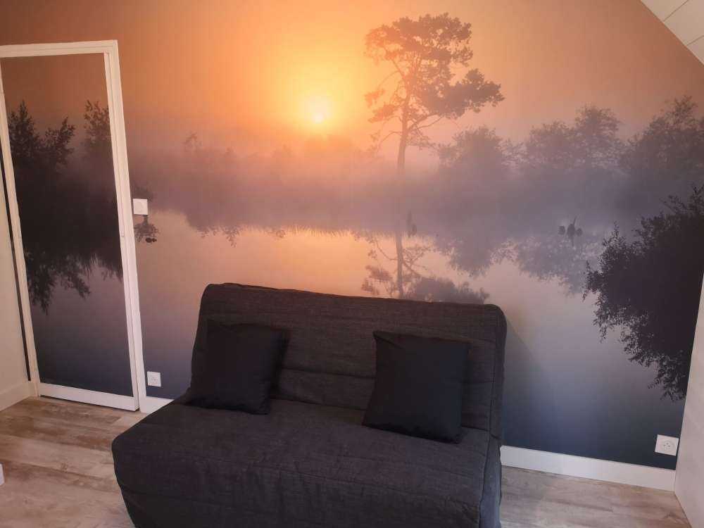 Forêt avec de grands arbres
