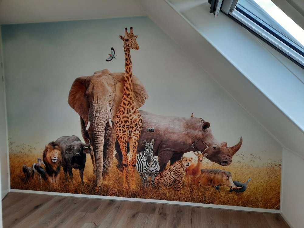 Animaux de la savane