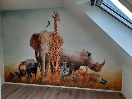 Animaux de la savane