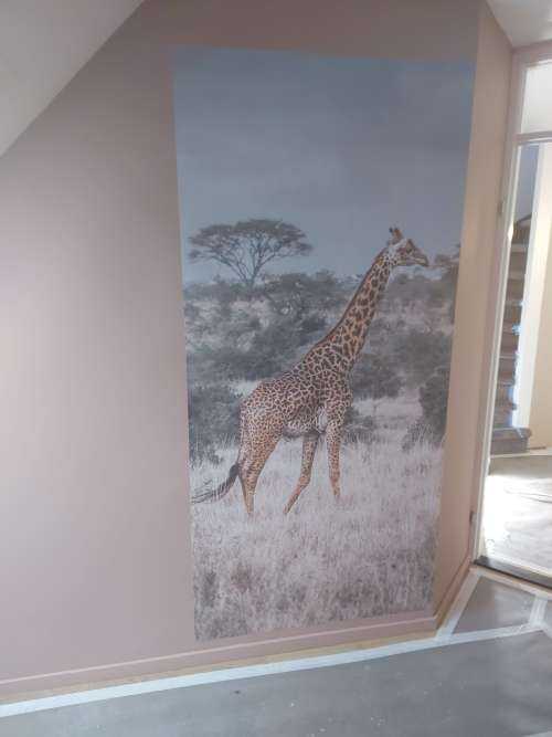 Portrait de girafe