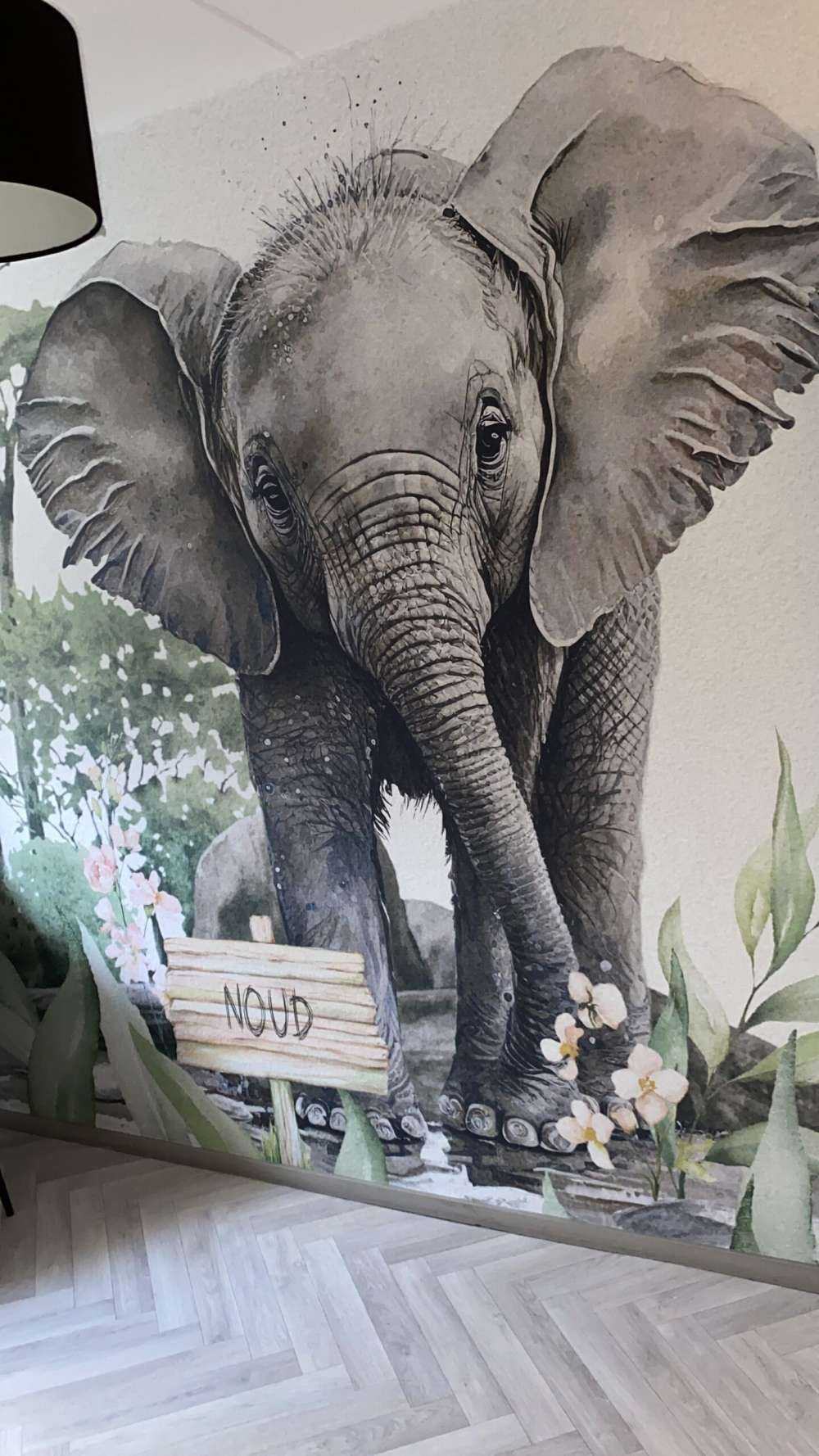 Bébé éléphant dans la jungle