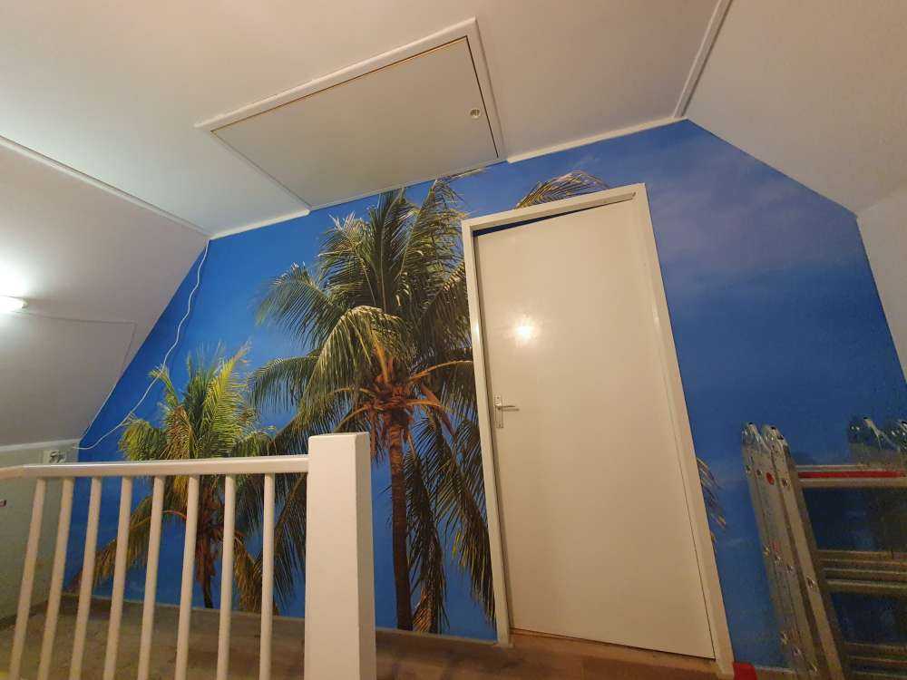 Plage de sable tropicale