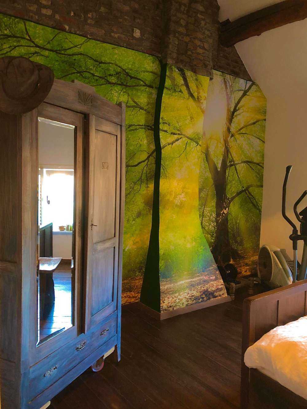 Grand arbre avec soleil