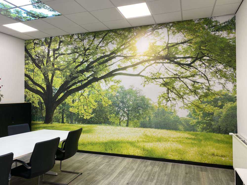 Bel arbre avec de l'herbe verte