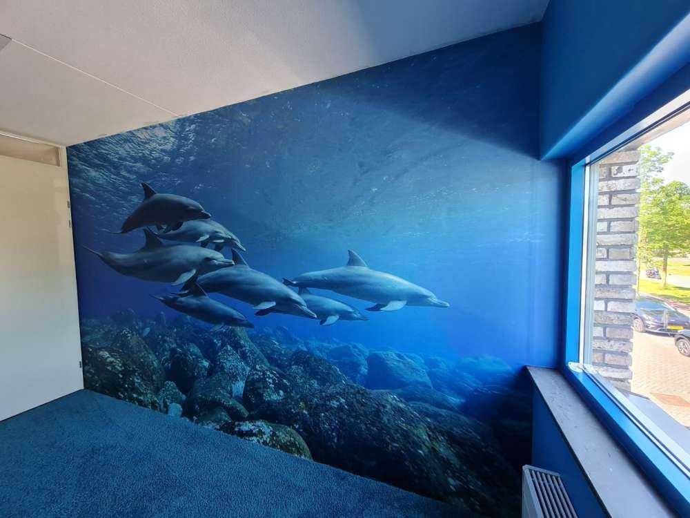 Dauphins et rochers