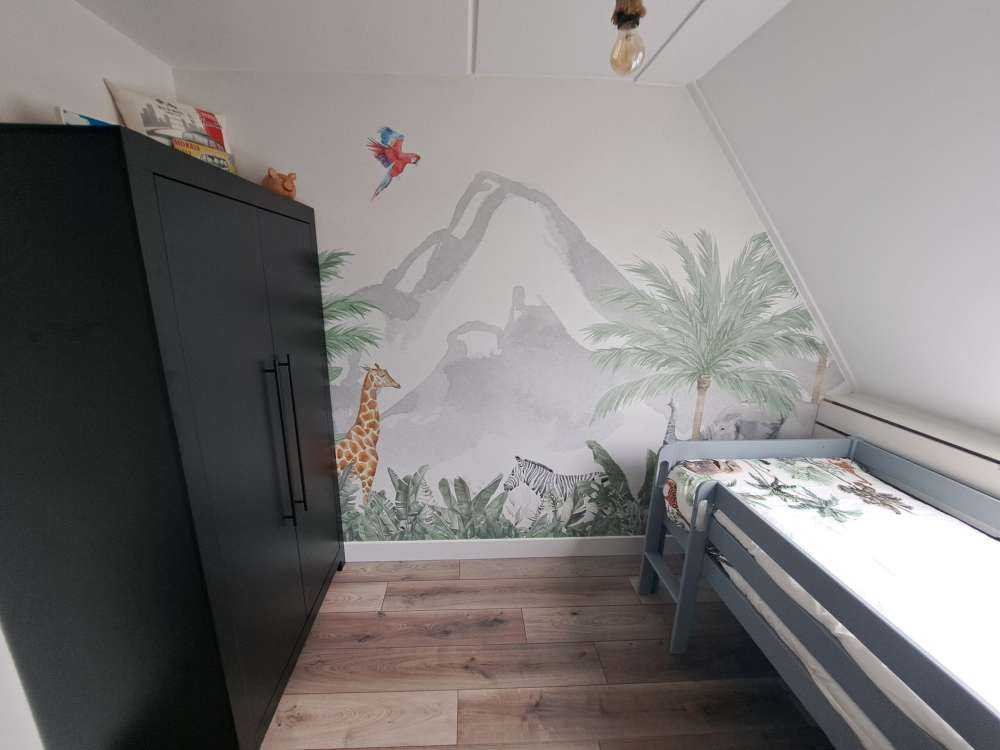 Animaux dans la jungle