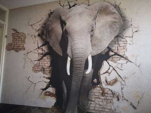 L'éléphant en 3D depuis le mur