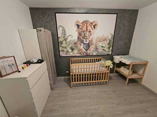 Bébé lion dans la jungle