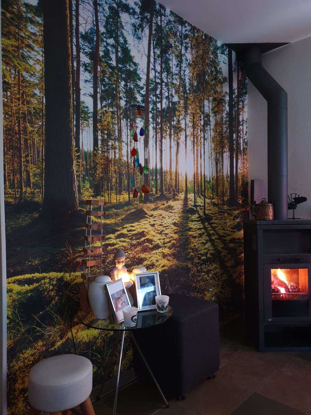 Forêt de pins